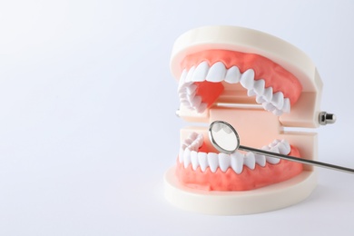 Photo of Typodont teeth and dentist mirror on white background. Space for text