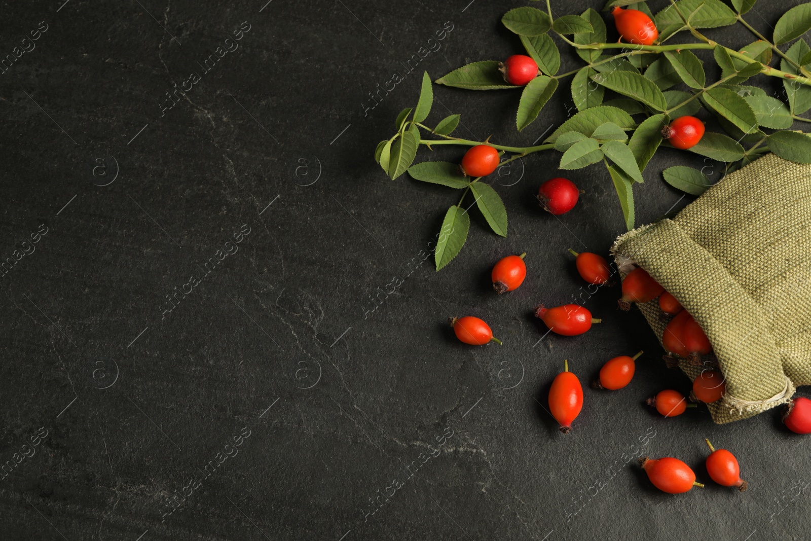 Photo of Ripe rose hip berries with green leaves on black table, flat lay. Space for text