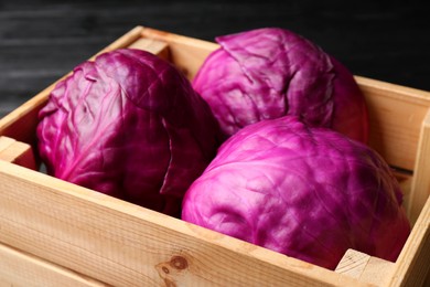 Photo of Closeup view of fresh red cabbages in wooden crate
