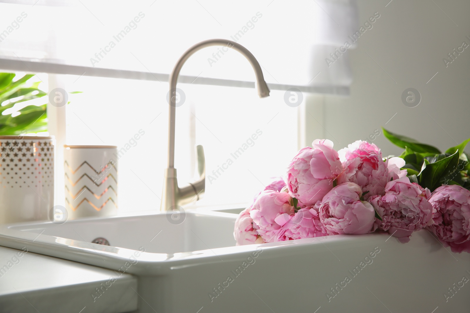 Photo of Bouquet of beautiful pink peonies in kitchen sink. Space for text