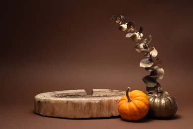 Photo of Autumn presentation for product. Wooden stump, pumpkins and golden branch with leaves on brown background, space for text