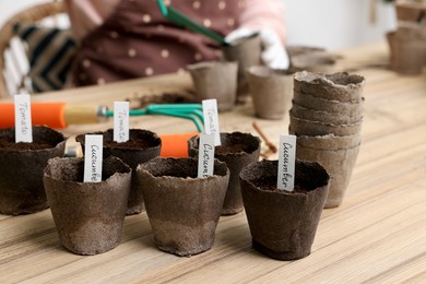 Photo of Woman filling pots with soil at wooden table. Growing vegetable seeds