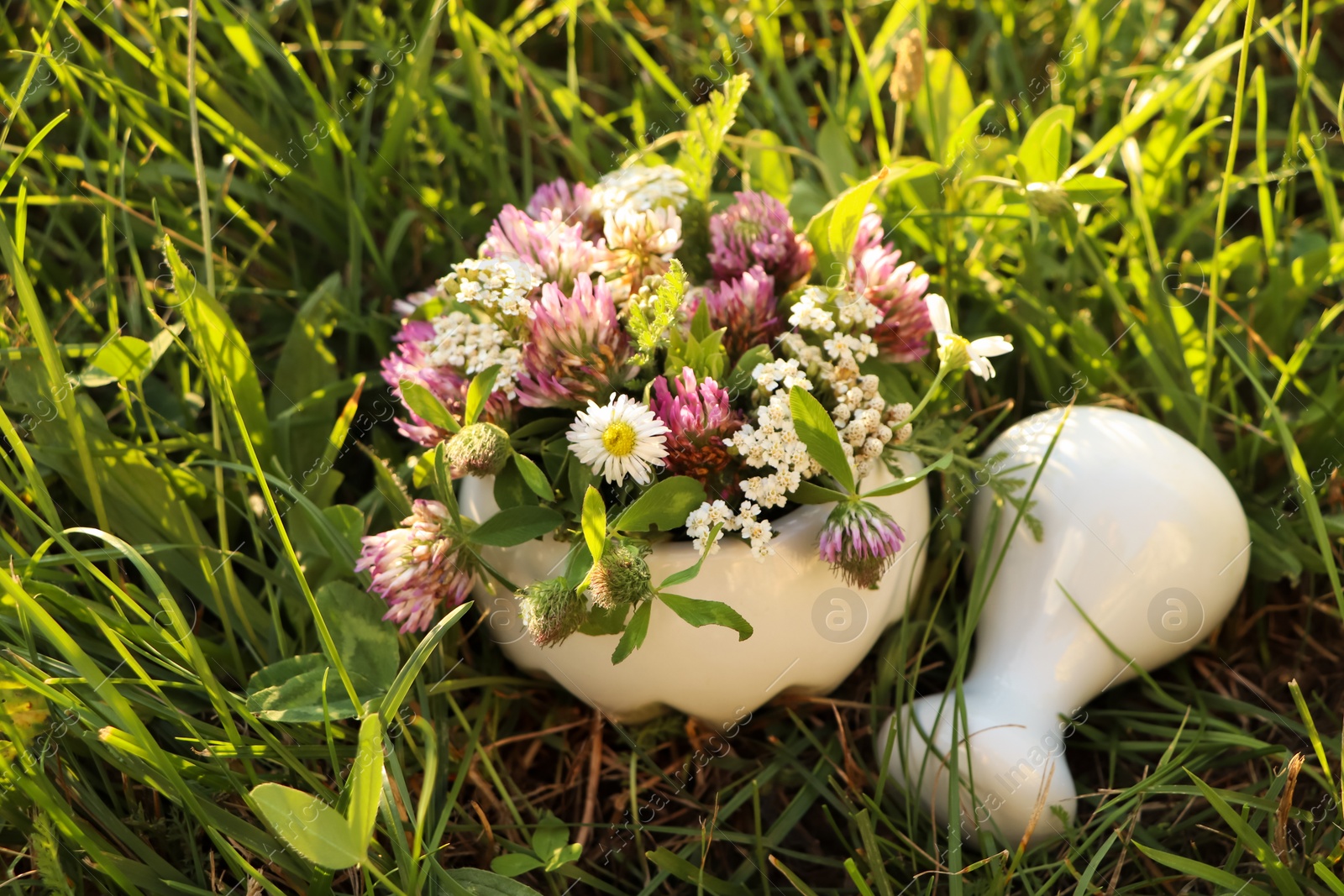 Photo of Ceramic mortar with pestle, different wildflowers and herbs green grass outdoors