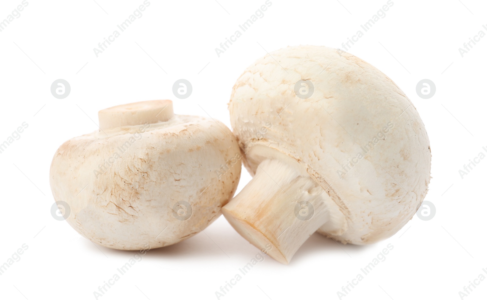 Photo of Fresh raw champignon mushrooms on white background