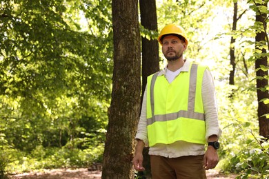 Photo of Forester in hard hat near tree in forest
