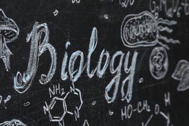 Photo of Word Biology and different pictures drawn on blackboard