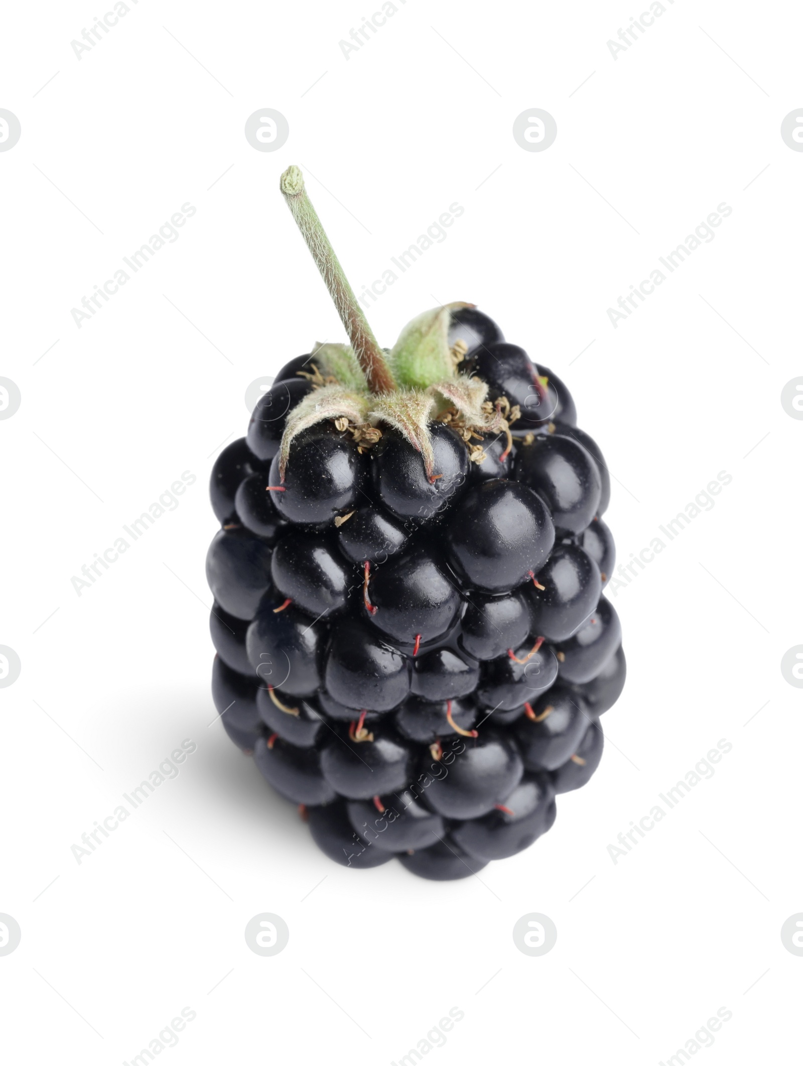 Photo of One tasty ripe blackberry isolated on white