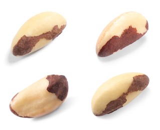 Set with tasty Brazil nuts on white background