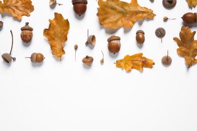 Photo of Flat lay composition with autumn leaves on white background. Space for text