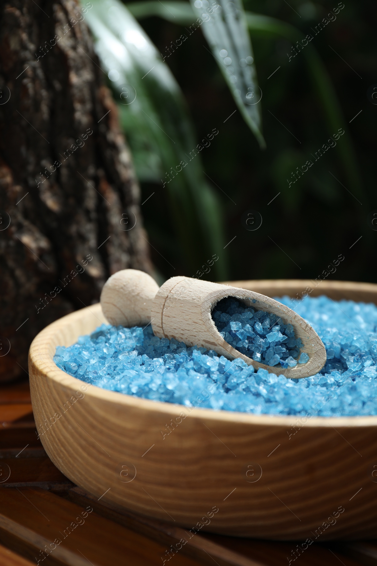 Photo of Bowl of blue sea salt with scoop on wooden table, closeup