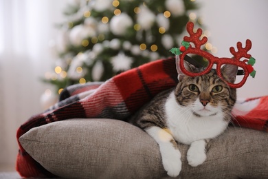 Photo of Cute cat wearing Christmas eyeglasses covered with plaid in room