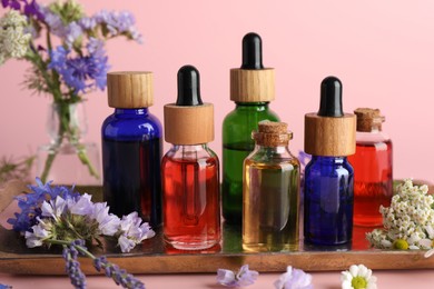 Photo of Aromatherapy. Different essential oils and flowers on pink background