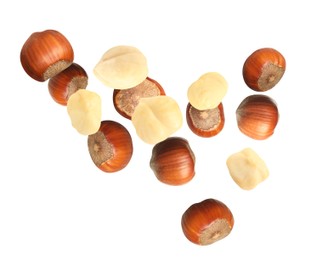 Tasty hazelnuts falling on white background. Healthy snack