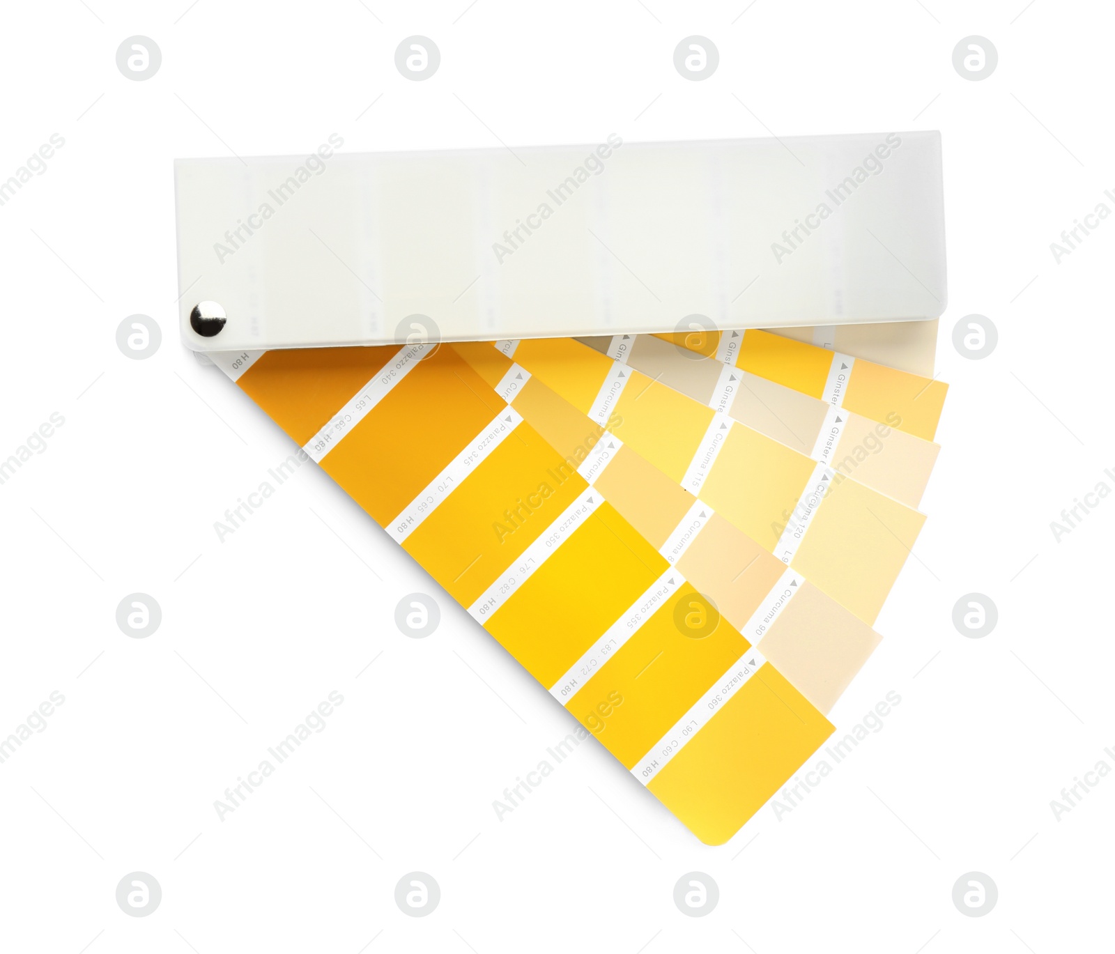 Photo of Color palette samples on white background