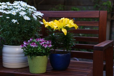 Many different beautiful blooming plants in flowerpots on wooden bench outdoors