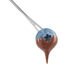 Blueberry with melted chocolate isolated on fondue fork against white background