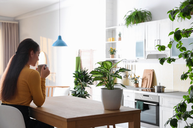 Photo of Woman with drink at table in kitchen decorated with plants. Home design