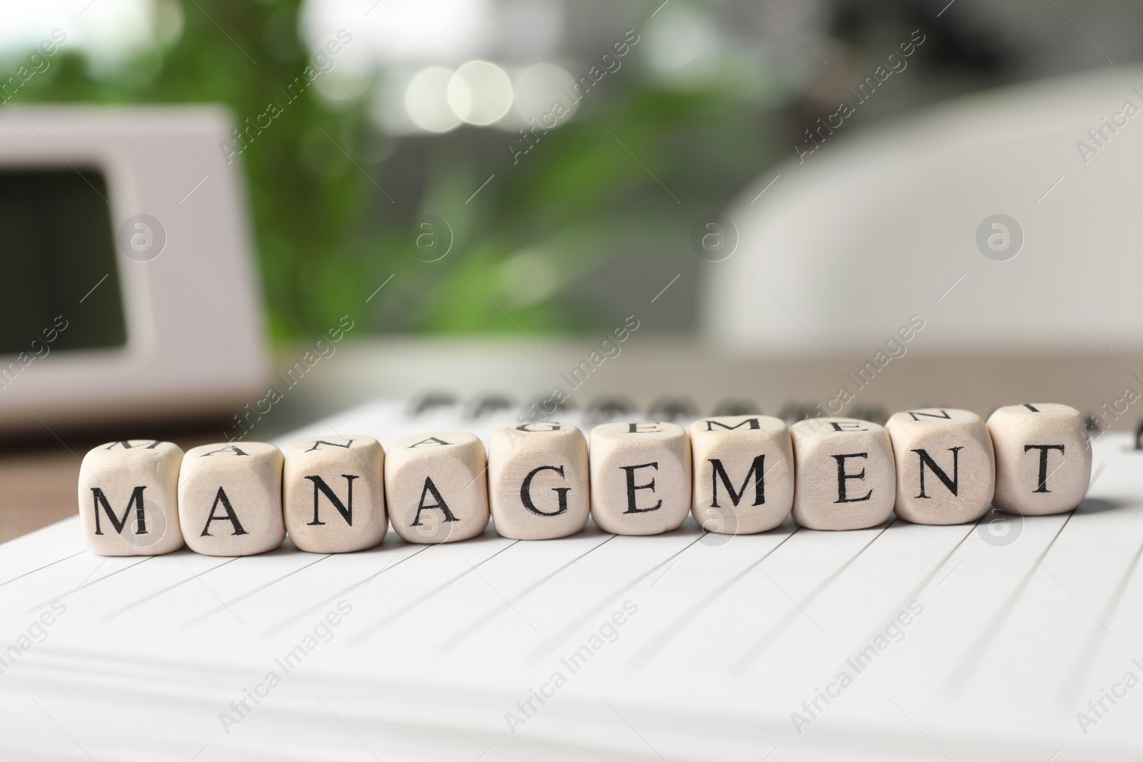 Photo of Word Management made of wooden cubes on notebook, closeup