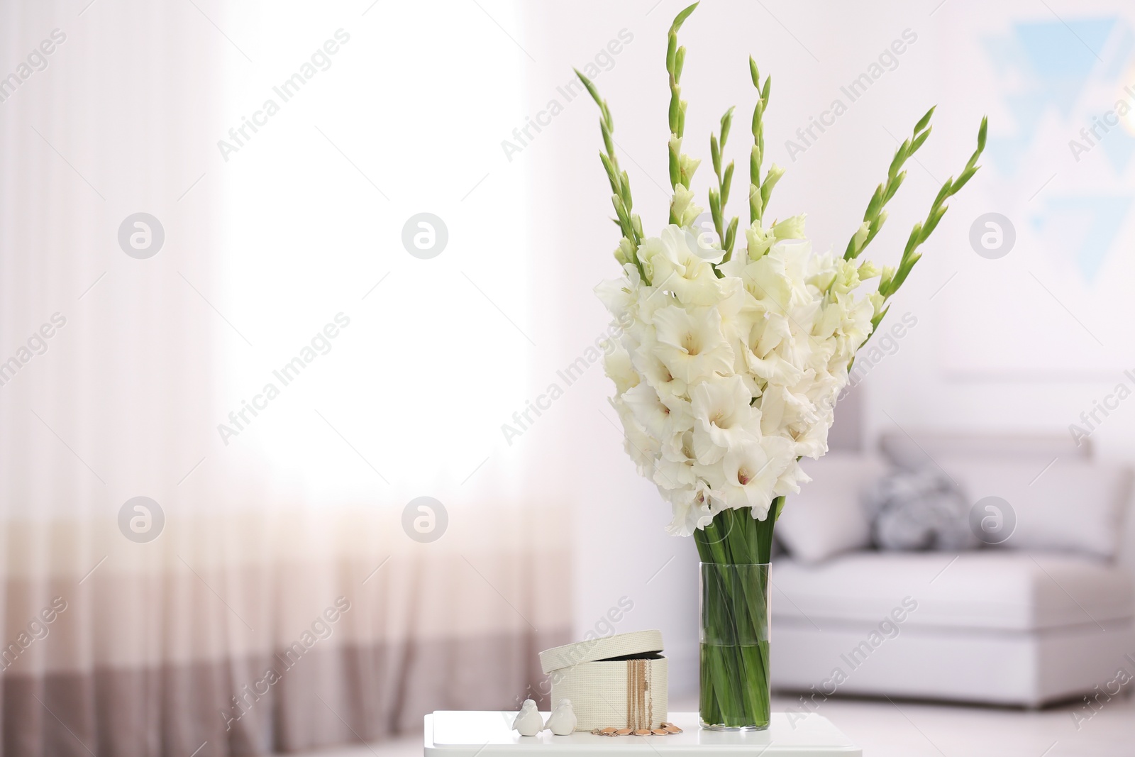 Photo of Vase with beautiful white gladiolus flowers and jewellery on wooden table in room, space for text