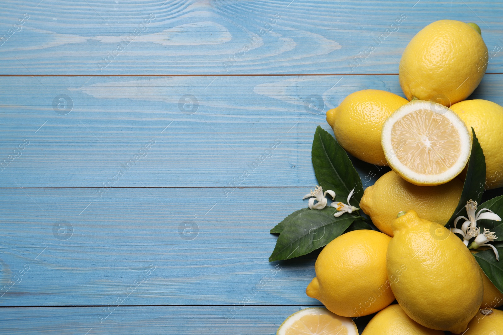 Photo of Many fresh ripe lemons with green leaves and flowers on blue wooden table, flat lay. Space for text