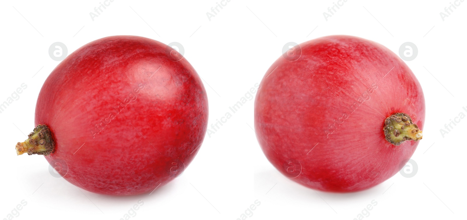 Image of Two fresh ripe grapes on white background