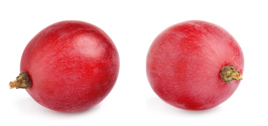 Image of Two fresh ripe grapes on white background