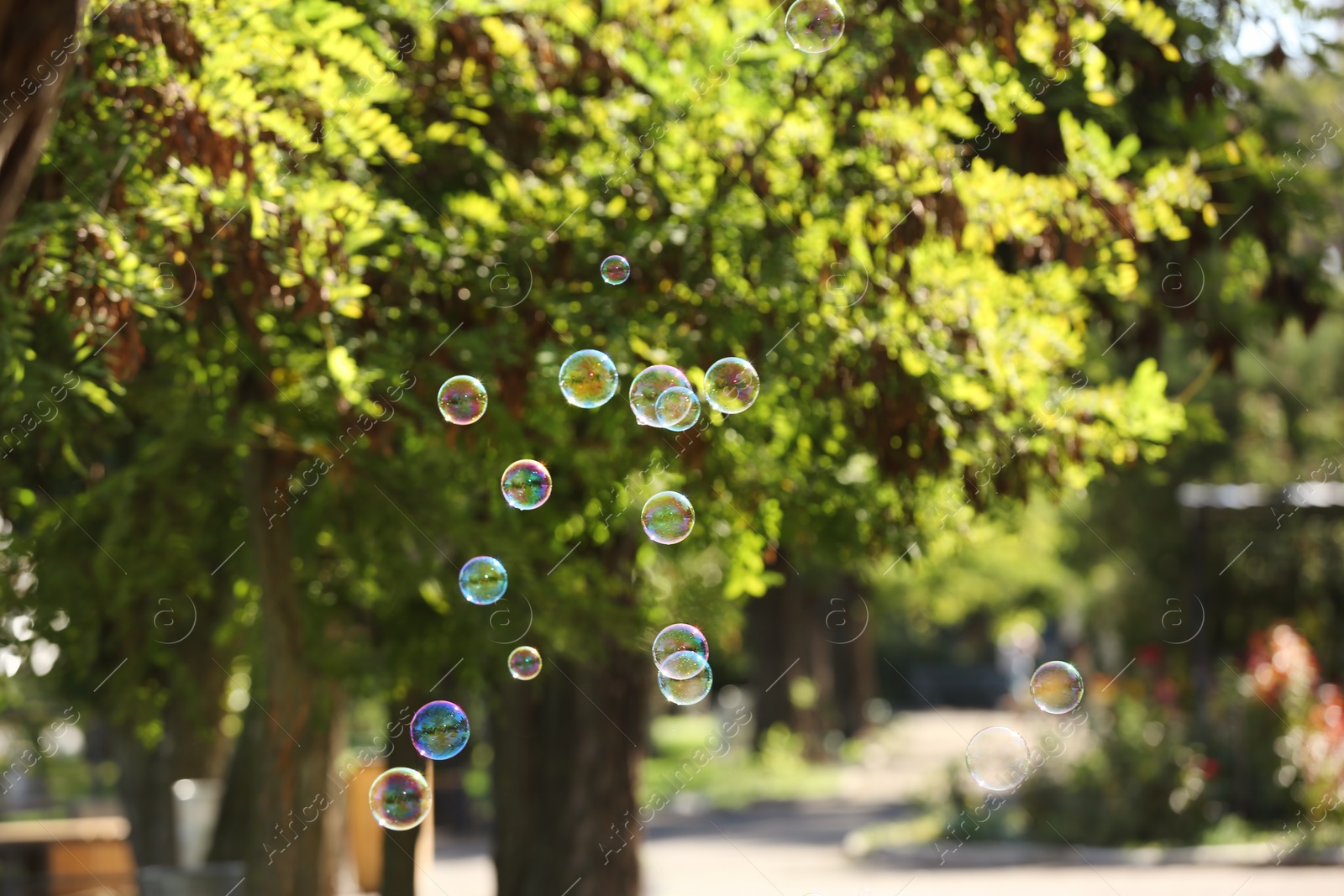 Photo of Beautiful translucent soap bubbles outdoors on sunny day