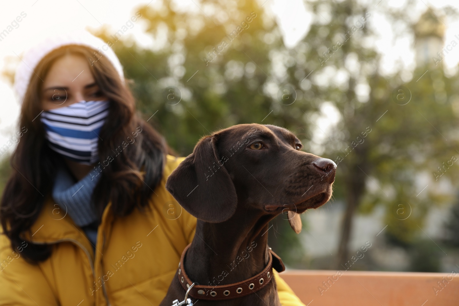 Photo of Woman in protective mask with German Shorthaired Pointer outdoors. Walking dog during COVID-19 pandemic