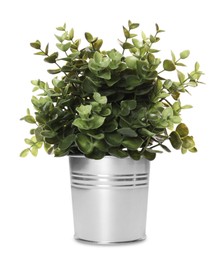 Photo of Artificial potted oregano on white background. Home decor