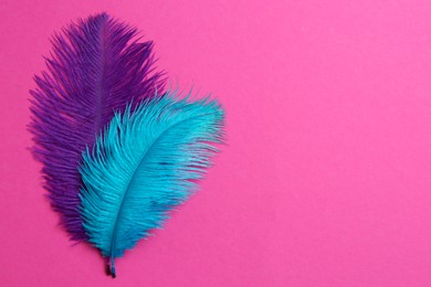 Photo of Beautiful violet and light blue feathers on pink background, top view. Space for text