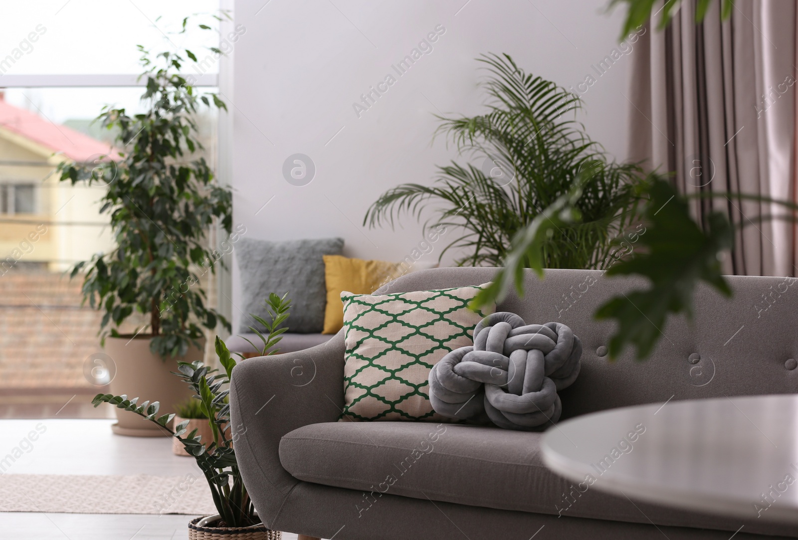 Photo of Stylish modern room interior with exotic houseplants