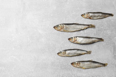 Photo of Fresh raw sprats on grey table, top view. Space for text