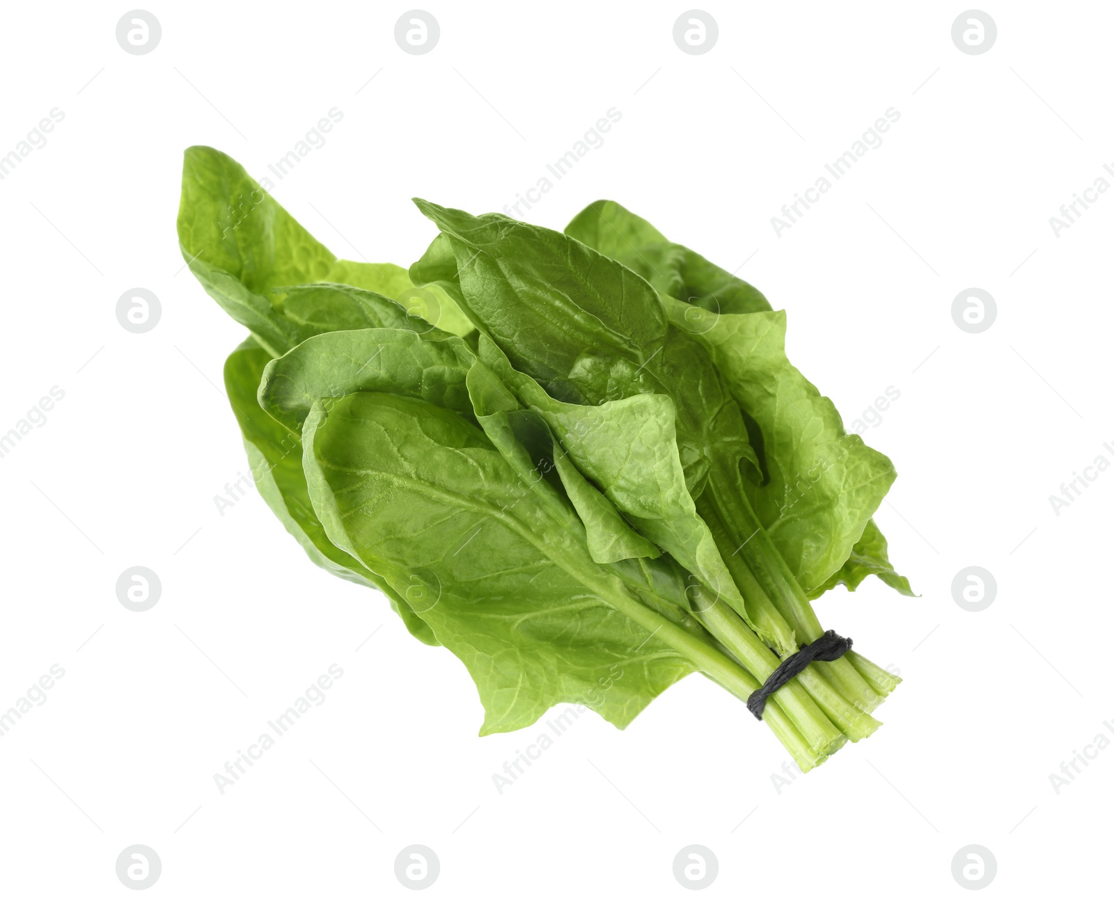 Photo of Bundle of fresh spinach isolated on white