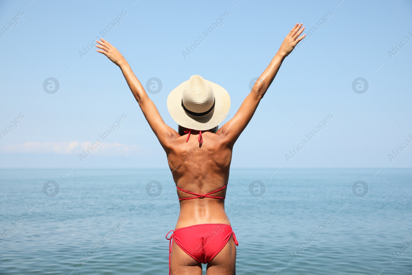 Photo of Sexy young woman in stylish bikini and straw hat on seashore, back view