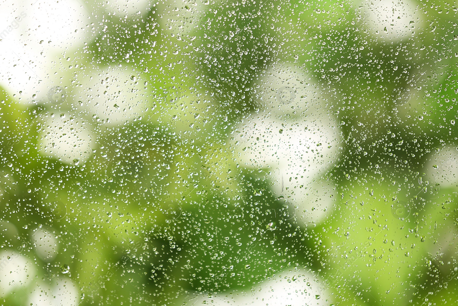 Photo of View of glass with water drops, closeup