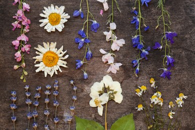 Photo of Beautiful dried flowers on wooden table, flat lay