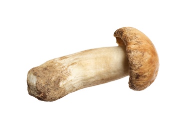 Fresh wild porcini mushroom isolated on white