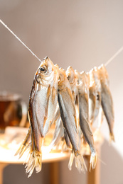 Dried fish hanging on rope against blurred background