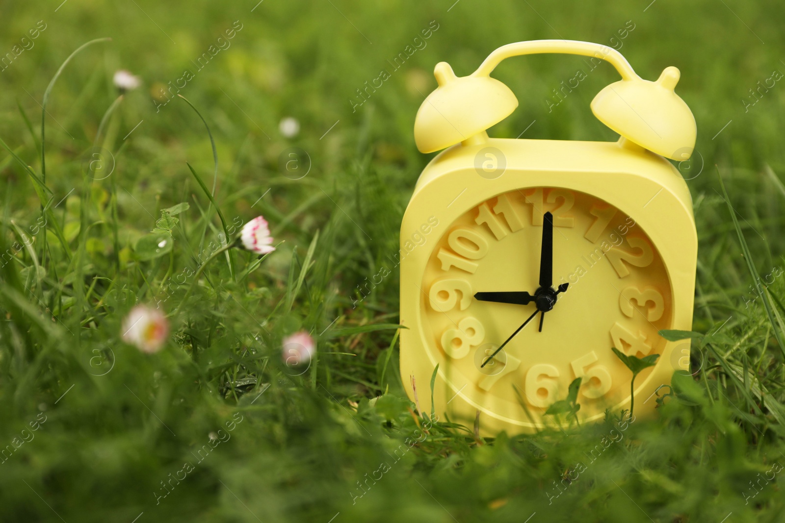Photo of Yellow alarm clock on green grass outdoors, closeup