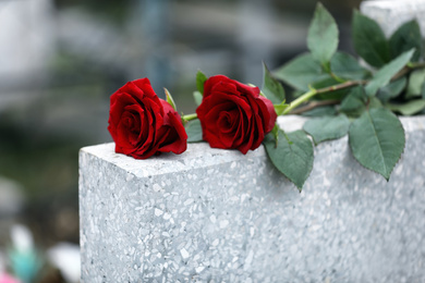 Photo of Red roses on light grey tombstone outdoors. Funeral ceremony