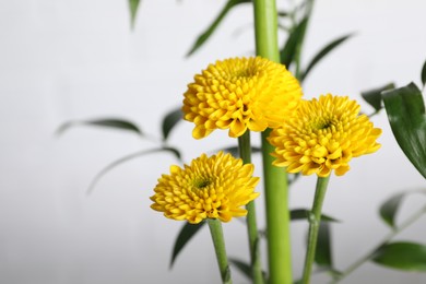 Photo of Beautiful ikebana for stylish house decor. Floral composition with fresh chrysanthemum flower and branches on blurred background, closeup