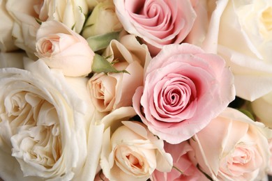 Photo of Beautiful rose flowers as background, top view