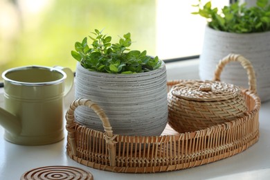 Photo of Aromatic potted oregano and stylish watering can on window sill indoors