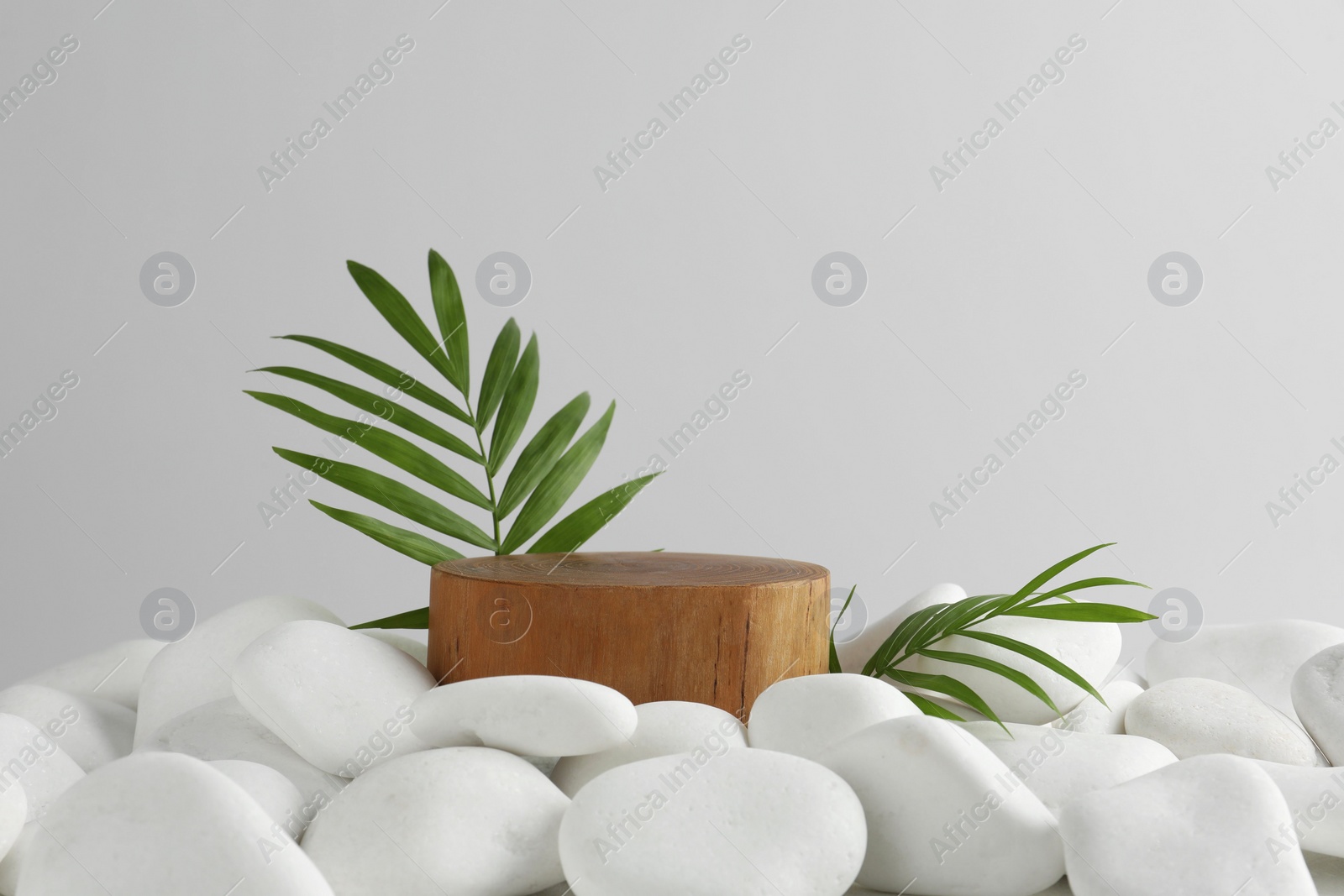 Photo of Presentation for product. Wooden podium and green twigs on white pebbles. Space for text