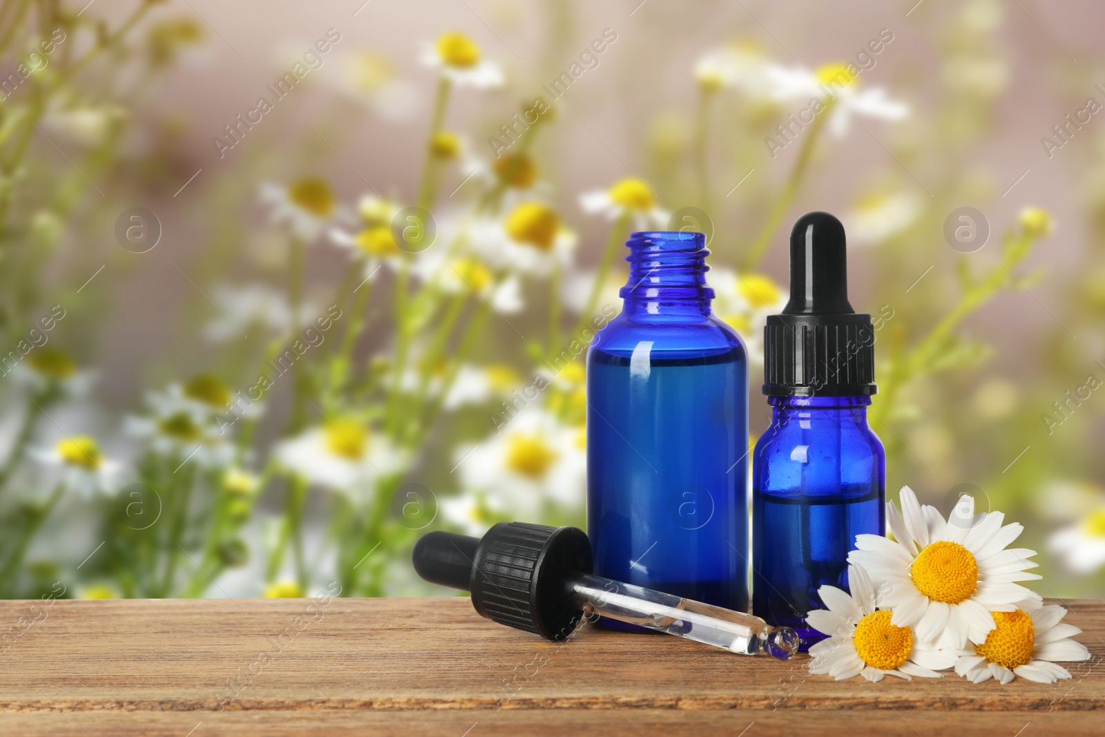 Image of Bottles of essential oil and chamomile flowers on wooden table against blurred background. Space for text