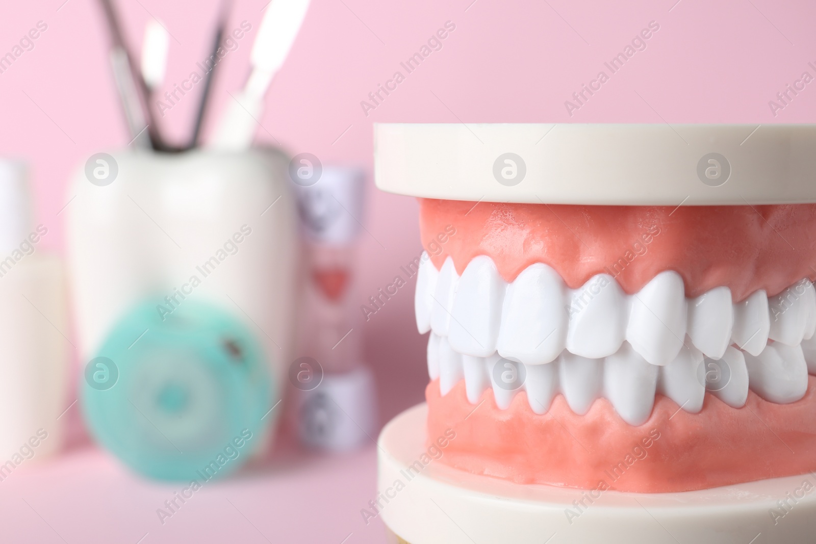 Photo of Educational model of oral cavity with teeth on blurred background, closeup. Space for text