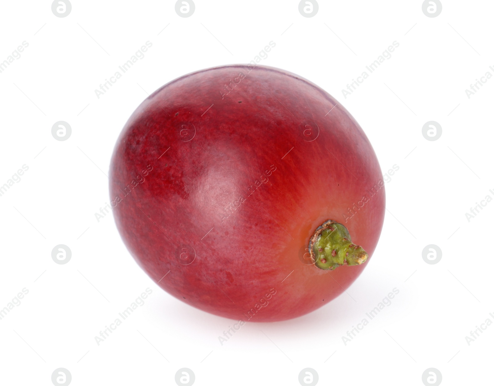 Photo of One ripe red grape isolated on white