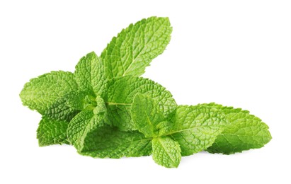 Fresh green mint leaves isolated on white