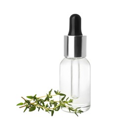 Photo of Bottle of thyme essential oil and fresh green sprigs on white background