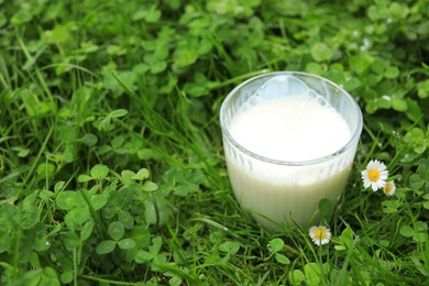 Glass with fresh milk on green grass outdoors, closeup. Space for text